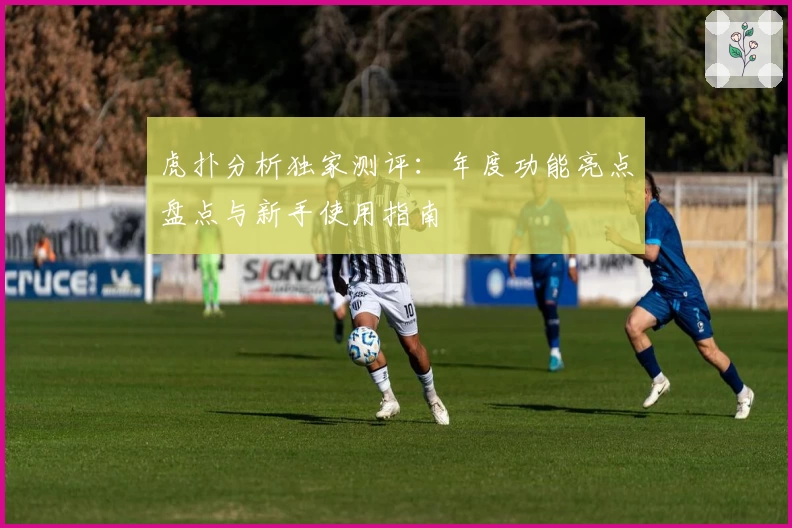 虎扑分析独家测评：年度功能亮点盘点与新手使用指南